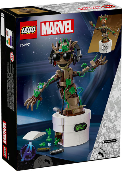 Groot Bailarín  LE76297