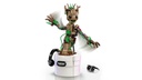 Groot Bailarín  LE76297