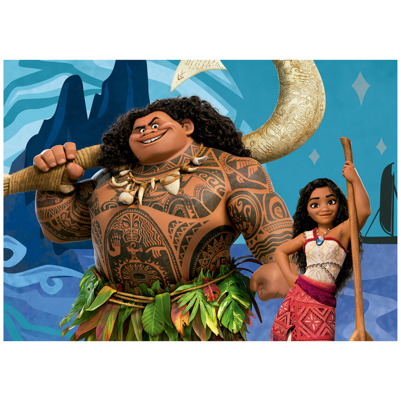 2X48 VAIANA 2