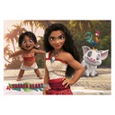 2X100 VAIANA 2