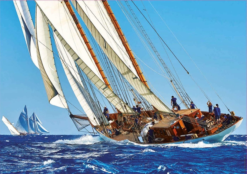 PUZZLE 1000 VELERO FSC(R) EDUCA 18490