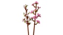 Flores de Cerezo LEGO 40725