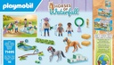 Torneo de ponis  71495