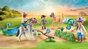 Torneo de ponis  71495