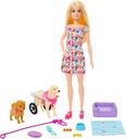 MUÑECA BARBIE PASEADORA PERRO SILLA DE RUEDAS HTK37 MATTEL HTK37