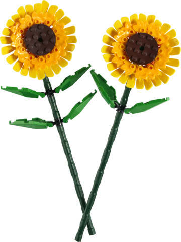 Girasoles V110 LEGO 40524