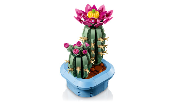 Cactus en Flor LEGO 11509
