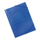 CARPETA GOMES, BLAVA