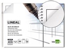 BLOC DIBUJO LIDERPAPEL LINEAL ESPIRAL 230X325MM 20 HOJAS 130G/M2 CON RECAMBIOuadernoRO