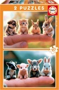 PUZZLE 2x20 BEBÉS ANIMALES F