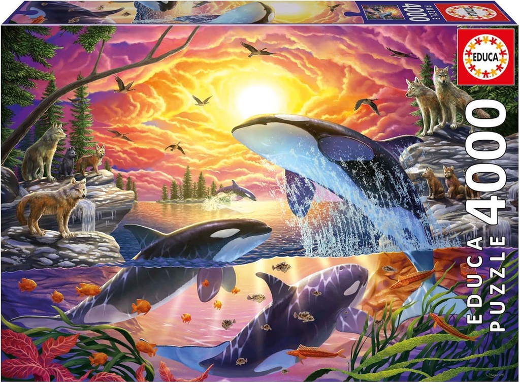 PUZZLE 4000 ORCAS y LOBOS  │