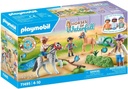 Torneo de ponis  71495
