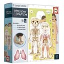 EL CUERPO HUMANO EDUCA 18701