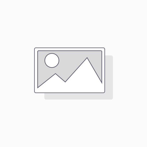 [73070] LAPICES DE GRAFITO FABER 9000 4B UNIDAD