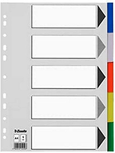 [ESS11709] SEPARADOR ESSELTE PLASTICO JUEGO DE 5 SEPARADORES DIN A4 CON 5 COLORES MULTITALADRO