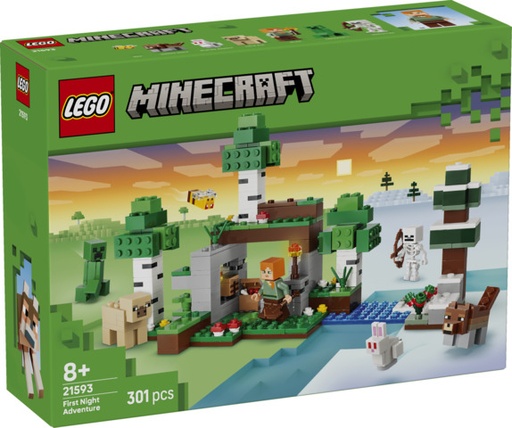 [LE21593] Aventura de la Primera Noche LEGO 21593