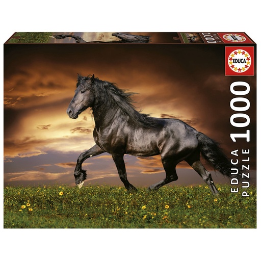 [E19555] PUZZLE 1000 CABALLO AL TROTE EDUCA 19555